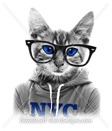 Quirky Nerd Kitten Cat Hoodie Sunglasses